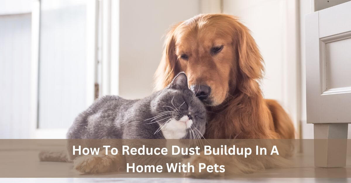 How To Reduce Dust Buildup In A Home With Pets